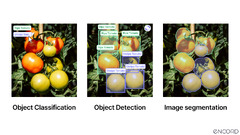 What is Vector Similarity Search? | Encord