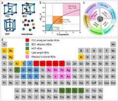 High-entropy alloys in electrocatalysis: from fundamentals to ...