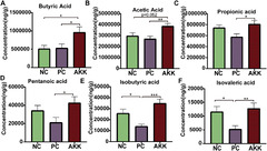 Akkermansia muciniphila attenuated lipopolysaccharide-induced ...