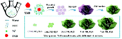 Recent advances in nanoflowers: compositional and structural ...