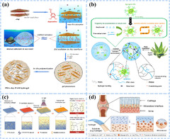 Functional conductive hydrogels: from performance to flexible ...