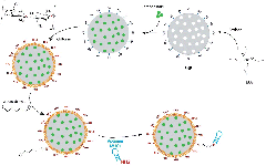 Carbon dot incorporated mesoporous silica nanoparticles for ...