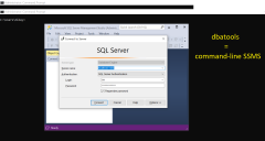 Microsoft SQL Server (SQL Server Management Studio)