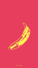 The Velvet Underground & Nico ( andy warhol banana )