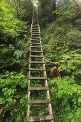 West Coast Trail