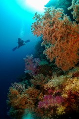 Raja Ampat, Indonesia