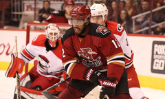 The Official Website of the Tucson Roadrunners: Roadrunners News