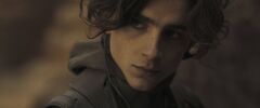 Timothée Chalamet (Paul Atreides)