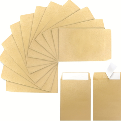 100 Pack Coin Envelopes 3.23"×4.53" Kraft Small Coin Envelopes Brown Kraft