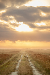 Into The Wind · National Parks Conservation Association