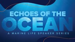 Echoes of the Ocean - Clearwater Marine Aquarium