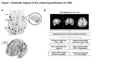 Cognitive Enhancement in Neurological and Psychiatric Disorders ...