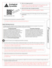 SOLUTION: Energy pyramid foldable answers - Studypool - Worksheets Library