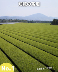 鹿児島 - Lemon8検索