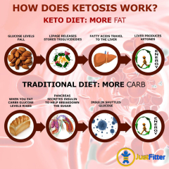 Just Fitter Ketone Keto Urine Test Strips. Look and Feel Great On A Low Carb Ketogenic Diet. Accurately Measure Your Fat Burning Ketosis Levels in 15 (Keto Diet)