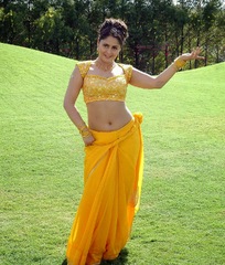 CELEBRITY PICS: Farzana hot navel in yellow