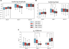 Scatter plot of the scattering amplitude (A), scattering slope (B) and maximum cross-sectional area (C) of Medfly individuals