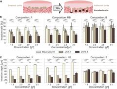 Frontiers | Inhomogeneities in 3D Collagen Matrices Impact Matrix ...