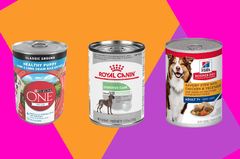 Royal Canin Canine Care Nutrition Digestive Care Loaf in Sauce Wet Dog Food