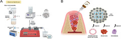 Hydroxyapatite/calcium alginate composite particles for hemostasis ...