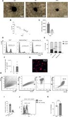 Frontiers | Generation of functionally active resident macrophages ...