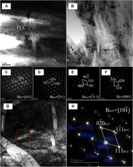 Frontiers | Thermal–Mechanical Processing and Strengthen in ...