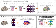 Frontiers | Affective Enhancement of Episodic Memory Is Associated ...