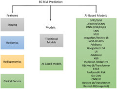 Frontiers | Breast cancer risk prediction using machine learning ...