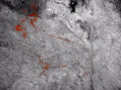 Stone Age Cave Paintings Found in Northern Spain