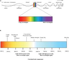 Frontiers | Effects of Daytime Electric Light Exposure on Human ...