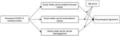 Social Media Use for Coping with Stress and Psychological Adjustment: A Transactional Model of Stress and Coping