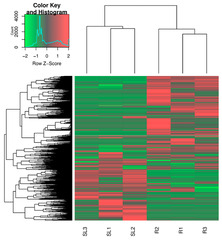 Heat map of 602 autophagy-related genes