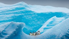 Embark on a once-in-a-lifetime journey to Antarctica | &Beyond