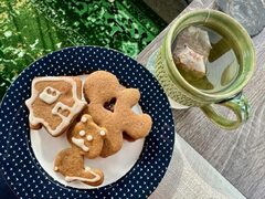 Amazing Vegan Gluten-Free Gingerbread Cookies (& Nut-Free!)