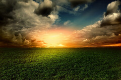 Grass Field Sunset Cloud Nature Sky (Amazing Sky Over Green Field Pfp)