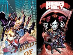 Birds Of Prey (And The Fantabulous Emancipation Of One Harley Quinn) (Birds of Prey)