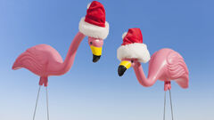 Northlight 24" Pink Flamingo in Santa Hat Outdoor Christmas (Flamingo)