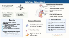 Histamine Intolerance