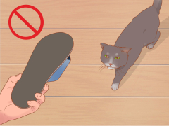 6 Ways to Hold a Cat - wikiHow