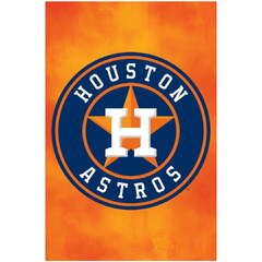 Houston Astros Team Logo MLB Baseball Sports