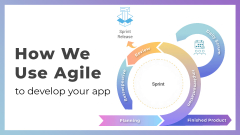 How We Use the Agile Software Development Methodology