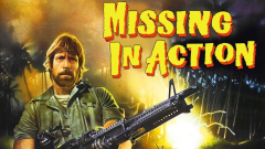 Missing in Action