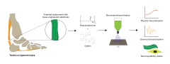 IJERPH |-Text | Physicochemical Properties and ...