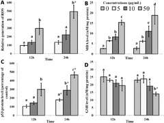 IJMS |-Text | Oxidative Stress-Mediated Apoptosis ...