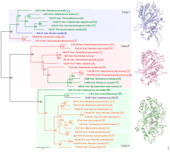 IJMS |-Text | DyP-Type Peroxidases: Recent Advances and ...