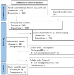 Flowchart of the study identification process