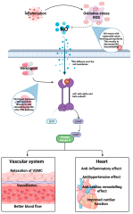 IJMS |-Text | A Systematic Review of the Effect of ...