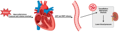 IJMS |-Text | A Systematic Review of the Effect of ...