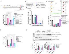 IJMS |-Text | Prolonged Inhibition of the MEK1/2-ERK ...