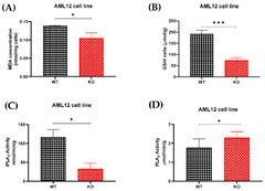 IJMS |-Text | Endoplasmic Reticulum Protein TXNDC5 ...